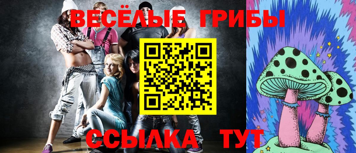 Урус-Мартан  Псилоцибиновые грибы Psilocybe  Вход с VPN 